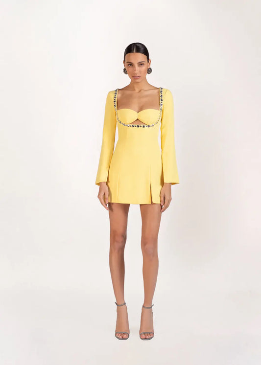 Celine Mini Embellished Crepe Dress